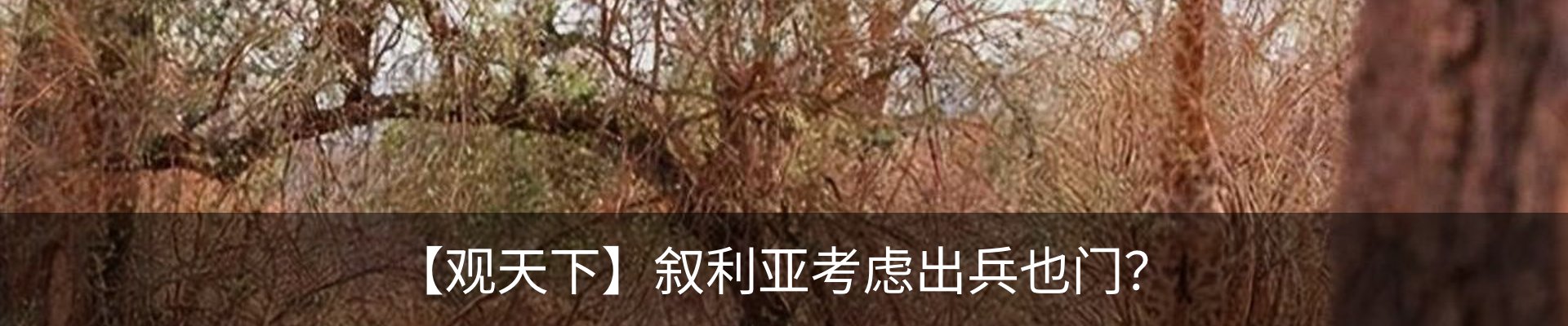 热点资讯