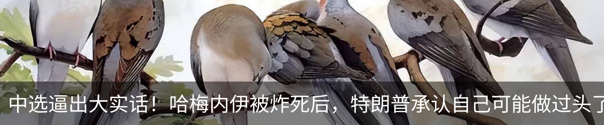 热点资讯