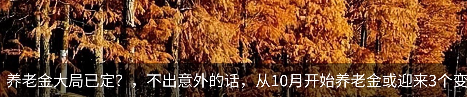 热点资讯