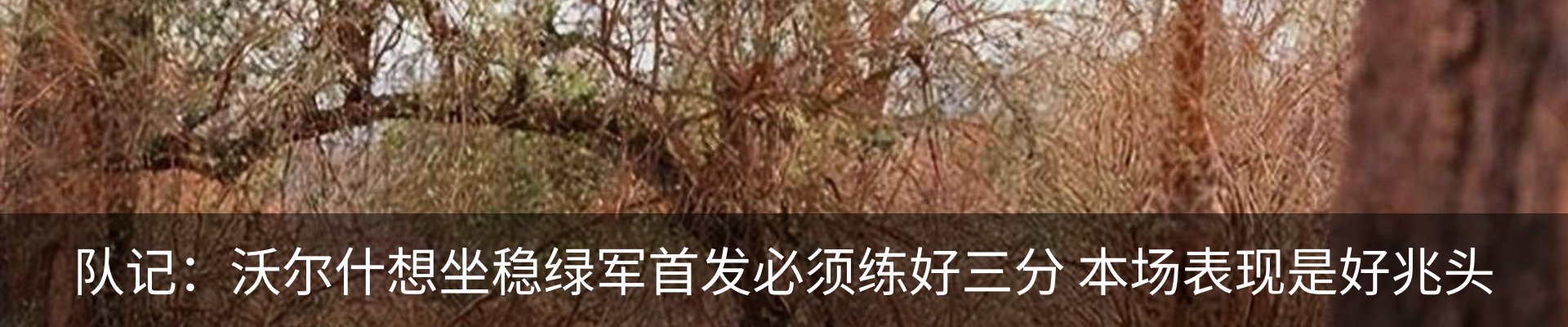 热点资讯