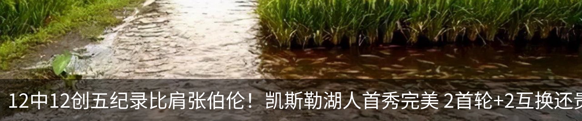 热点资讯